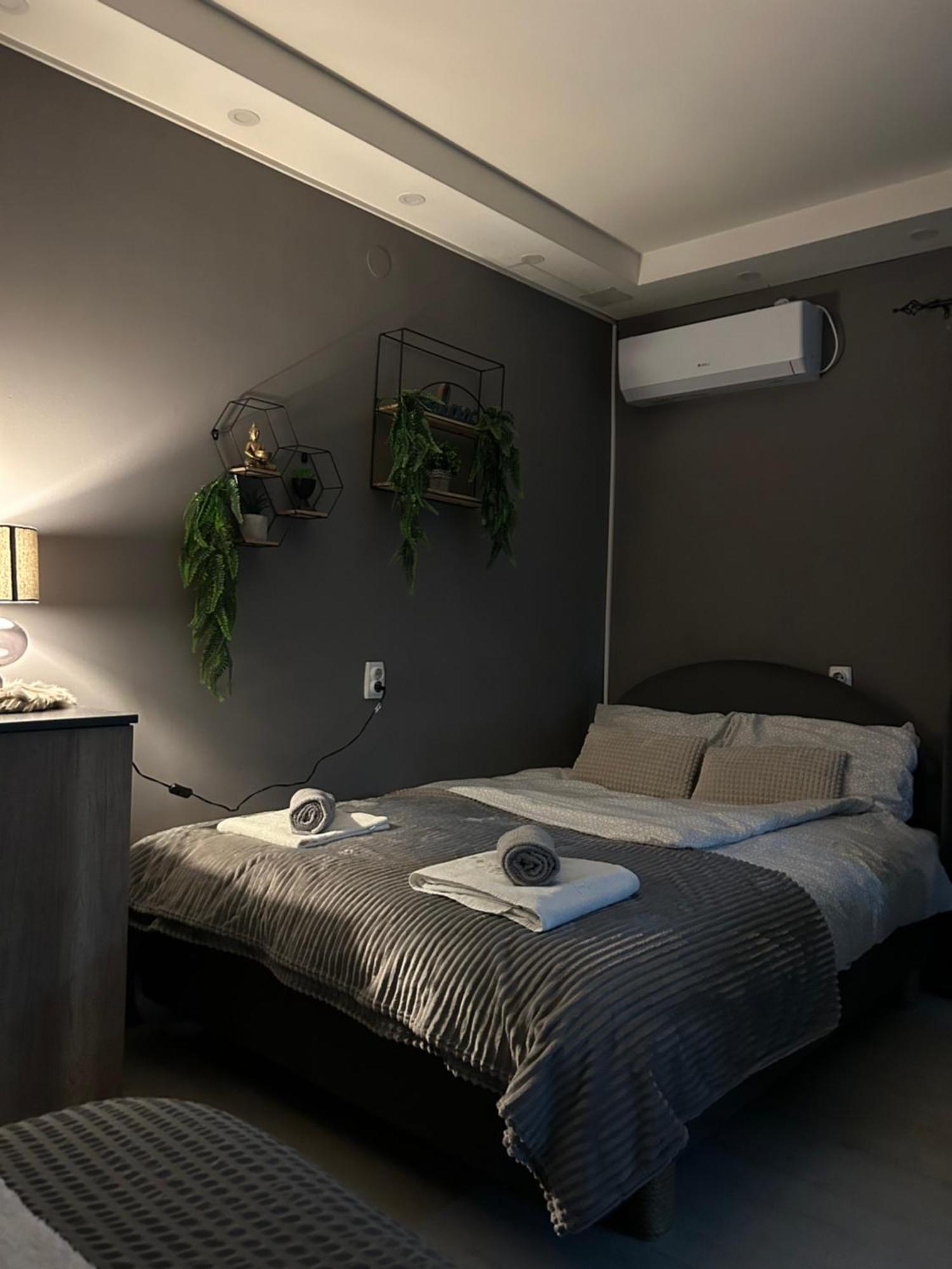 Beta House Apartments ザイェチャル エクステリア 写真